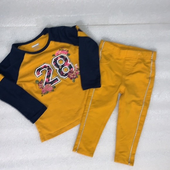Garanimals Other - Girls Garanimals Jersey Set (B04321)